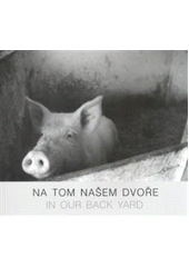 kniha Na tom našem dvoře = In our back yard, Občanské sdružení Drnka 2007