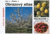 kniha Obrazový atlas peckovin 1. - Odrůdy slivoní, třešní a višní, Květ 2002