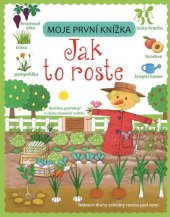 kniha Moje první knížka  Jak to roste, Svojtka & Co. 2016