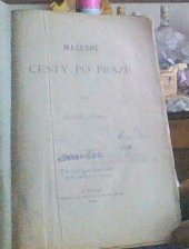 kniha Malebné cesty po Praze. [II., - Královský hrad pražský], Edvard Grégr 1884