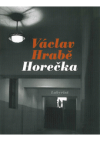 Horečka