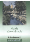 Historie rožnovské struhy