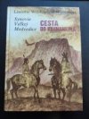 Synovia Veľkej Medvedice. 2. diel
