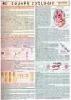 Souhrn zoologie pro střední školy