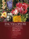 Encyklopedie tulipánů, hyacintů, begonií a dalších cibulnatých a hlíznatých rostlin