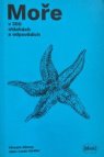 Moře v 300 otázkách a odpovědích