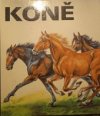 Koně