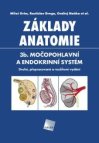 Základy anatomie 3b.