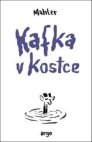 Kafka v kostce
