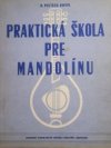 Praktická škola pre mandolínu