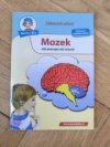 Mozek