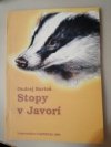 Stopy v Javorí