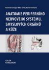 Anatomie periferního nervového systému smyslových orgánů a kůže