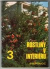 Rostliny v interiéru