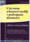 Cizí měny a kursové rozdíly v podvojném účetnictví