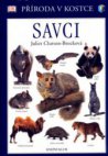 Savci