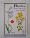 Plantes des champs et des forêts