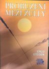 Probuzení mezi Zuly