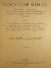 Novodobé silnice
