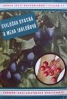 Sviluška ovocná a mera jabloňová, velmi nebezpeční škůdcové ovocných stromů