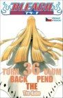 Bleach 36