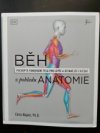Běh z pohledu anatomie