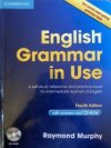 English Grammar in Use