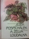 Ježek Pospíchálek a želva Loudalka