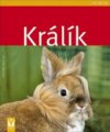 Králík