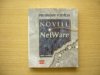 Problémy v sítích Novell NetWare a jejich řešení
