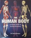 The Human Body