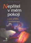 Nepřítel v mém pokoji a jiné příběhy z psychoterapie