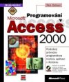 Programování v Microsoft Access 2000