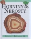 Horniny a nerosty