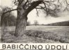 Babiččino údolí