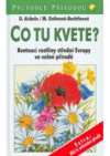 Co tu kvete?