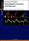 Echokardiografie u nemocných s plicní hypertenzí