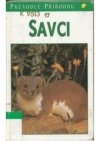 Savci