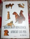 Rhodesian ridgeback Africký lví pes