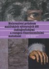 Neinvazivní průzkum malířských výtvarných děl radiografickými a rentgen-fluorescenčními metodami