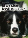 Border Kolie