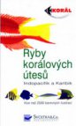 Ryby korálových útesů