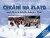 Čekání na zlato, aneb, Historie ledního hokeje v Plzni