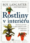 Rostliny v interiéru