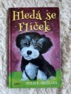 Hledá se Flíček
