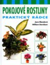 Pokojové rostliny