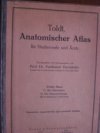 Toldt, Anatomischer Atlas für Studierende und Ärzte