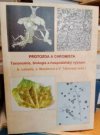 Protozoa a chromista