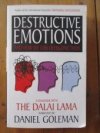 Destructive Emotions And How We Can Overcome Them