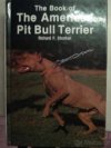 American Pitbullterrier
